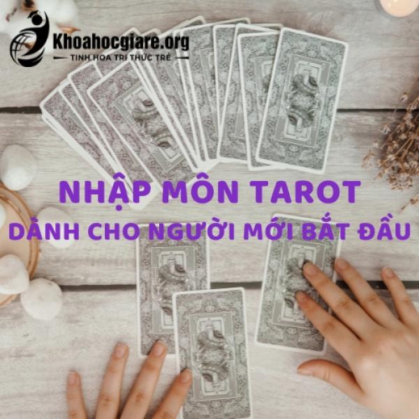 Khóa học Nhập môn Tarot dành cho người mới bắt đầu